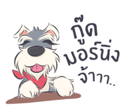 Pooklook the Mini Schnauzer sticker #11357856