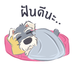 Pooklook the Mini Schnauzer sticker #11357857