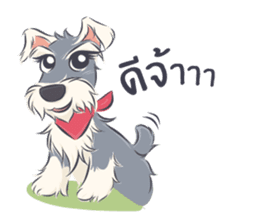 Pooklook the Mini Schnauzer sticker #11357858