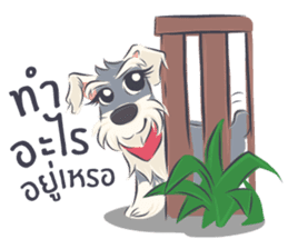 Pooklook the Mini Schnauzer sticker #11357859