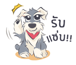 Pooklook the Mini Schnauzer sticker #11357860