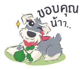 Pooklook the Mini Schnauzer sticker #11357862