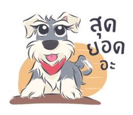 Pooklook the Mini Schnauzer sticker #11357863