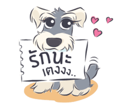 Pooklook the Mini Schnauzer sticker #11357864