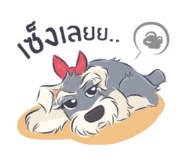Pooklook the Mini Schnauzer sticker #11357874
