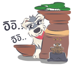 Pooklook the Mini Schnauzer sticker #11357878