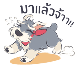 Pooklook the Mini Schnauzer sticker #11357879