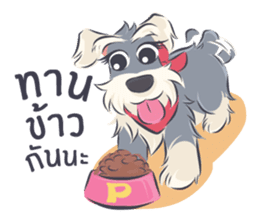 Pooklook the Mini Schnauzer sticker #11357880