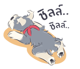 Pooklook the Mini Schnauzer sticker #11357881