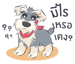 Pooklook the Mini Schnauzer sticker #11357882