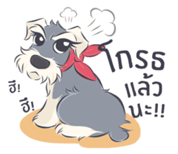 Pooklook the Mini Schnauzer sticker #11357883