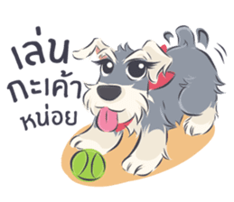 Pooklook the Mini Schnauzer sticker #11357887