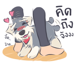 Pooklook the Mini Schnauzer sticker #11357892