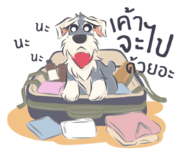 Pooklook the Mini Schnauzer sticker #11357893