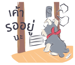 Pooklook the Mini Schnauzer sticker #11357894