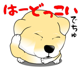 A Puppy 2 sticker #11358858