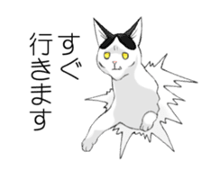 Cats of Natsuki's House sticker #11360316