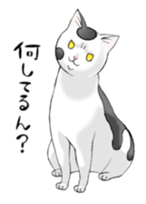 Cats of Natsuki's House sticker #11360325