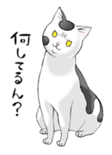 Cats of Natsuki's House sticker #11360325