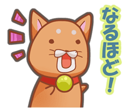 Kororin Shiba Inu sticker #11360882