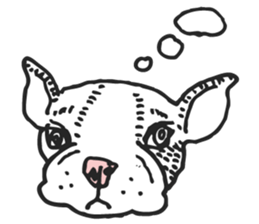 50's animals sticker #11361228