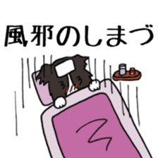 SHIMAZU sticker #11362558