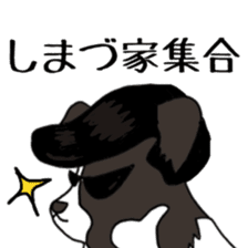 SHIMAZU sticker #11362566