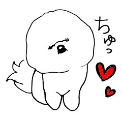 Bichonfrise "OMOCHI"
