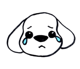 DACHSHUND FACE STICKER sticker #11368068