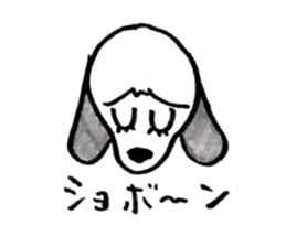 DACHSHUND FACE STICKER sticker #11368085