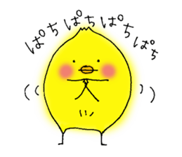 The Cool Chick Piyo 2 sticker #11369560