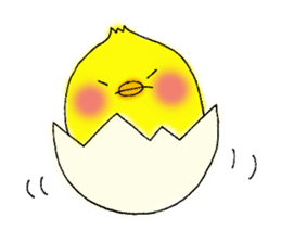 The Cool Chick Piyo 2 sticker #11369562