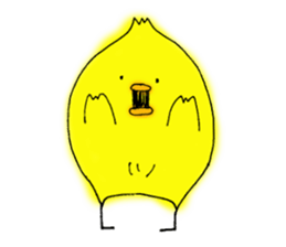 The Cool Chick Piyo 2 sticker #11369566