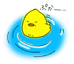 The Cool Chick Piyo 2 sticker #11369571