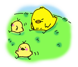 The Cool Chick Piyo 2 sticker #11369572