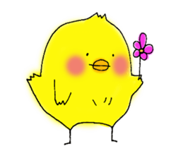 The Cool Chick Piyo 2 sticker #11369573