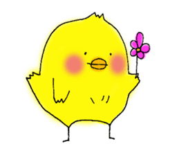 The Cool Chick Piyo 2 sticker #11369573