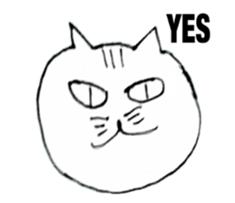 cat daru sticker #11371214