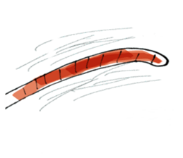 cat daru sticker #11371221