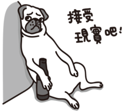 Mr.Pug , Stop nagging 2 (Chinese) sticker #11374306