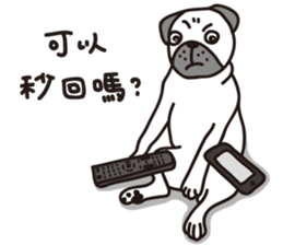 Mr.Pug , Stop nagging 2 (Chinese) sticker #11374310