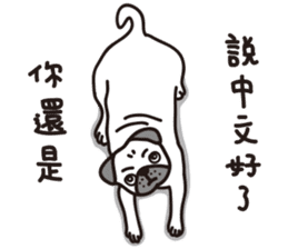 Mr.Pug , Stop nagging 2 (Chinese) sticker #11374311