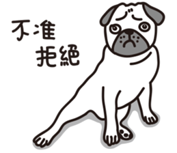 Mr.Pug , Stop nagging 2 (Chinese) sticker #11374312