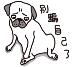 Mr.Pug , Stop nagging 2 (Chinese) sticker #11374314