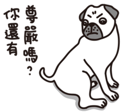 Mr.Pug , Stop nagging 2 (Chinese) sticker #11374315