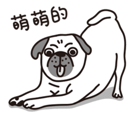 Mr.Pug , Stop nagging 2 (Chinese) sticker #11374323