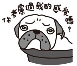 Mr.Pug , Stop nagging 2 (Chinese) sticker #11374324