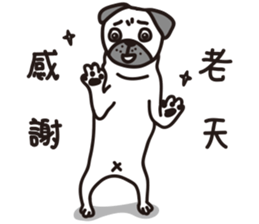 Mr.Pug , Stop nagging 2 (Chinese) sticker #11374326