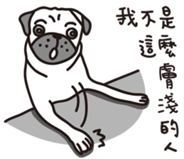 Mr.Pug , Stop nagging 2 (Chinese) sticker #11374330