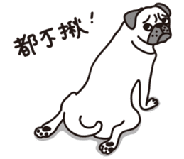 Mr.Pug , Stop nagging 2 (Chinese) sticker #11374332